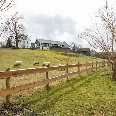 Апартаменты Im Vogtland Heinsdorfergrund